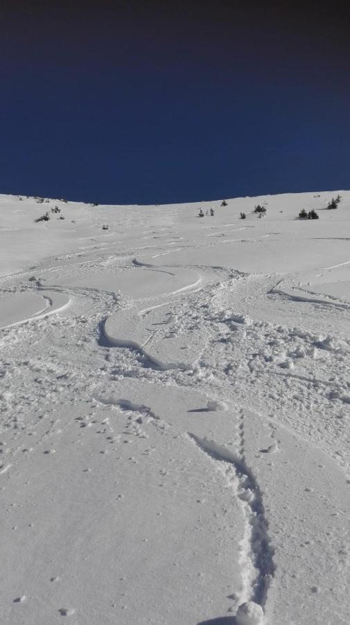 Ferienwohnung Wohlfahrter Bad Mitterndorf Esterno foto